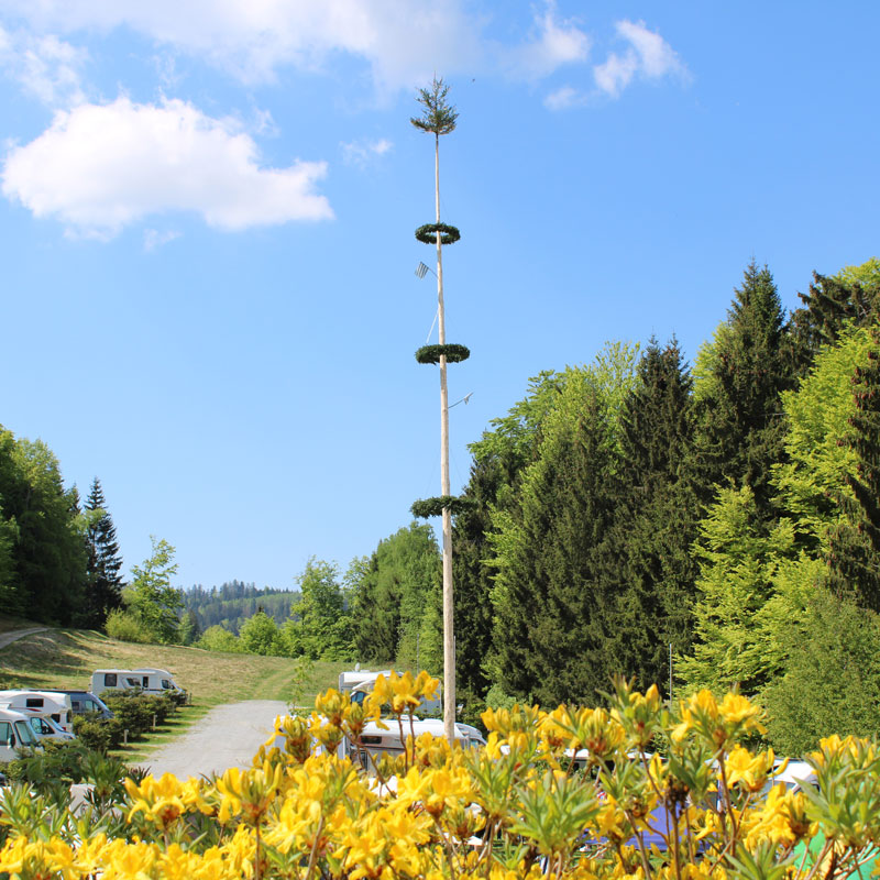 5.3f-Restaurant-zum-Sepp-Camping-Resort-Bayerwald
