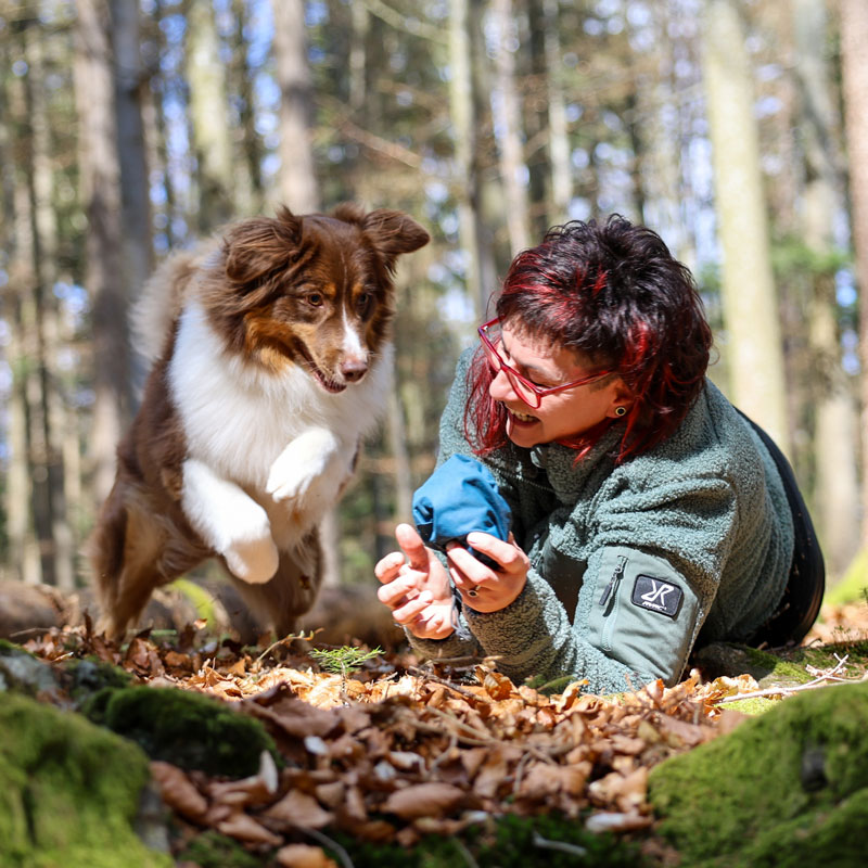 Regelmäßiges Hundetraining im Camping Resort Bayerwald