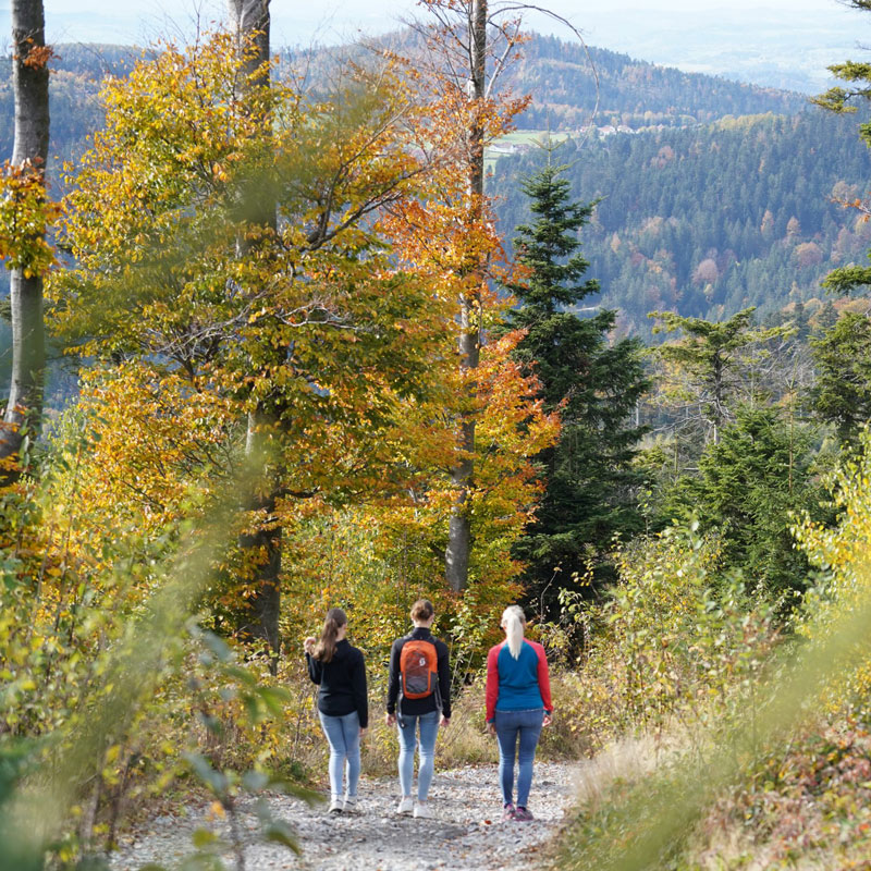 Camping mit Hund im Camping Resort Bayerwald - Hundetraining jede Woche